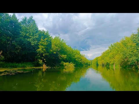 Видео: БОЛЬШИЕ,ЗЛЫЕ ЩУКИ на РЕКЕ