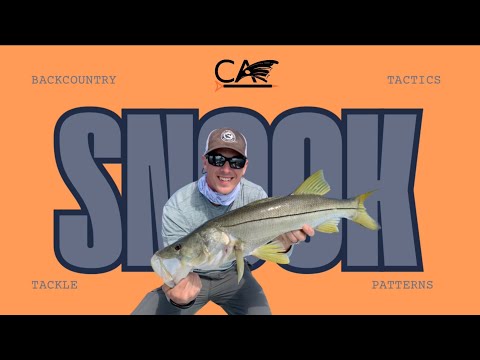 Видео: Мастер-класс по осеннему снуку! | YouTube Flats Class