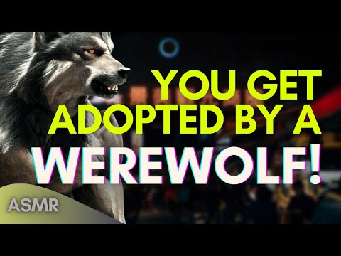 Видео: Тебя усыновил оборотень! Слушатель Неко! АСМР-бойфренд [M4F/M4A]