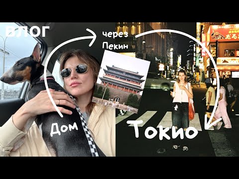 Видео: 22. Часть 1. Сборы в Японию, пересадка в Пекине и первые дни в Токио 🇯🇵
