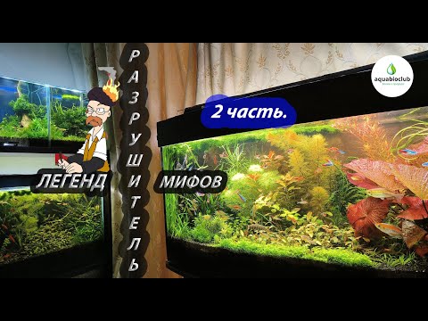 Видео: Разрушитель аквариумистических легенд 2 ч.