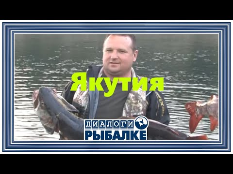 Видео: Диалоги о рыбалке -   096 / Якутия