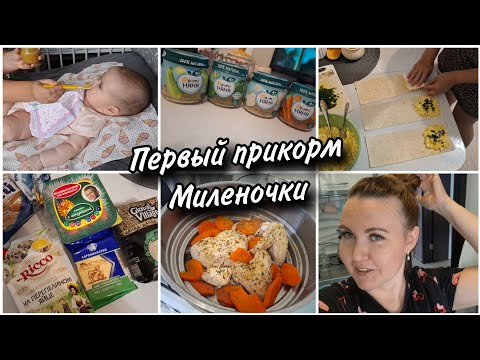 Видео: 🍼Первый прикорм Миленочки в 4,5 месяца. Курица с овощами на пару.🥘 Лаваш вместо теста для пирожков.