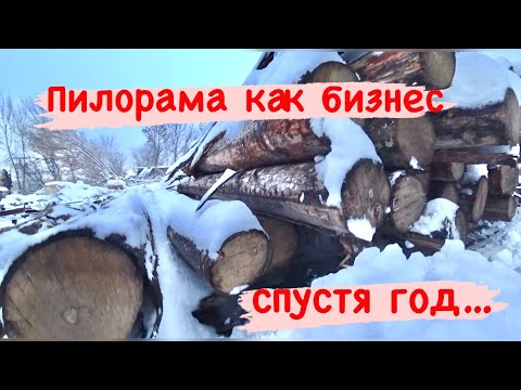 Видео: ПИЛОРАМА КАК БИЗНЕС. Год спустя...