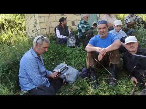 Видео: зиярат Чуц1а пир!