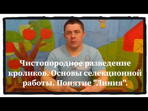 Видео: Чистопородное разведение. Основы селекции. Понятие "Линия"