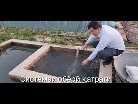 Видео: Системаи капелни орошени. Системаи обёрӣ қатраги.