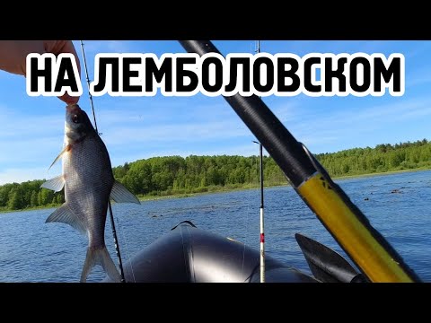 Видео: Рыбалочка на Лемболовском озере