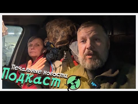 Видео: Печальные новости / К нам прилетел Пряник?! / Рассказываем про Печеньку и Яночку