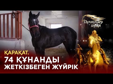 Видео: Қарақат. 74 құнанға жеткізбеген жүйрік. «Дүлдүлдер дүбірі»