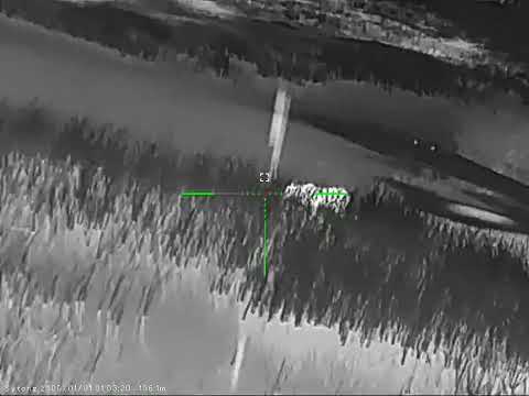 Видео: Тепловизор Sytong XM 03-50, кабан на расстоянии 350+ м