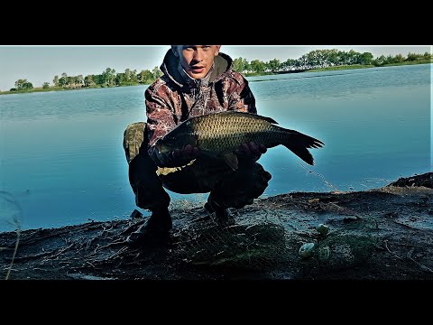 Видео: Эмоции зашкаливают,от этой РЫБАЛКИ,ловля карпа с берега на удочку,озеро кайнар,акмолинская область