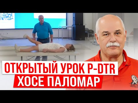 Видео: Хосе Паломар - метод P-DTR / Как Избавиться От Проблем в Теле НАВСЕГДА!