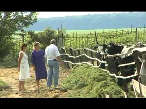 Видео: Від Дніпра до Бугу м. Новомиргород 28.09.2013