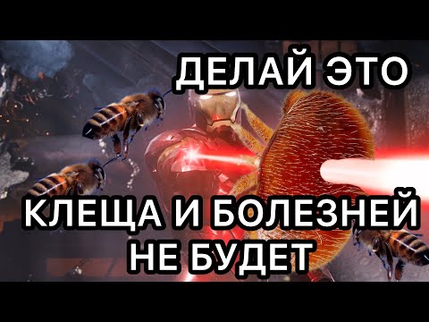 Видео: БОРЬБА С КЛЕЩОМ ВАРРОА