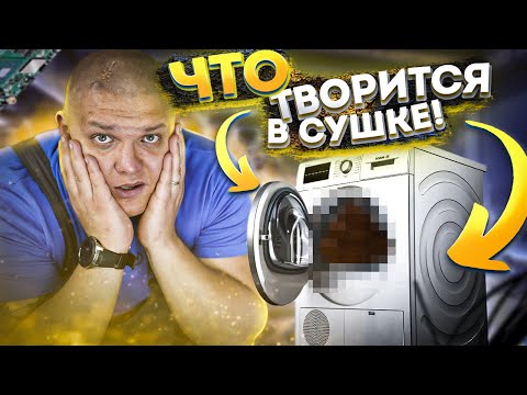 Видео: О боже! Что творится в МОЕЙ СУШКЕ 😱