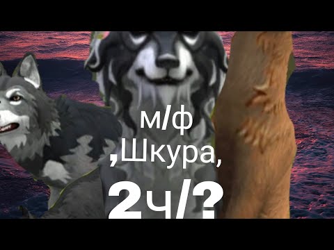 Видео: м/ф ,Шкура, 2ч/? (чит. опис.)