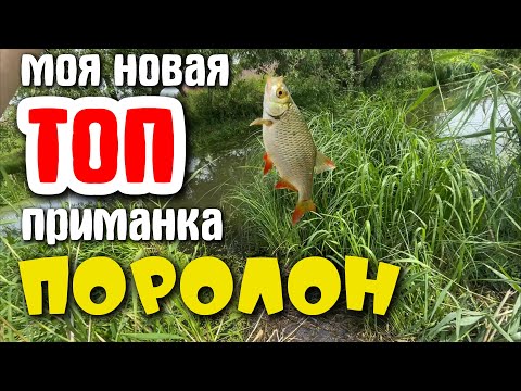 Видео: Городская ПЛОТВА+КРАСНОПЁРКА на ПОРОЛОН | #мормышинг #стритфишинг