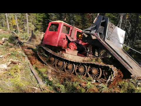 Видео: Тт4 в горах