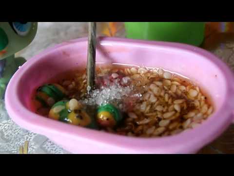 Видео: LPS:Наша Кухня)№1(Супчик убил Винни)