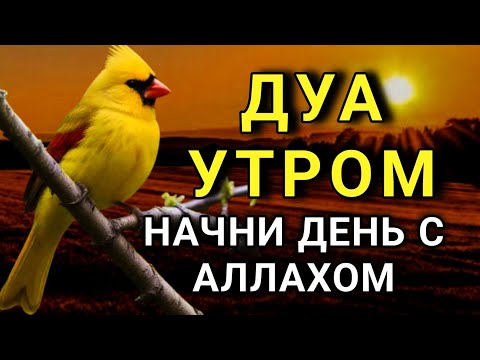 Видео: ☝️ ДУА УТРОМ ДЛЯ СЧАСТЬЯ И ЗДОРОВЬЯ 🌈🌹🔑💯