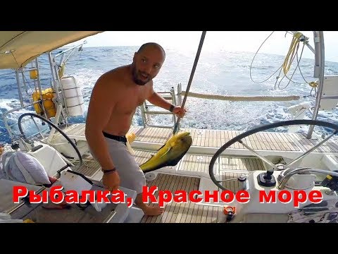 Видео: Красное море на яхте. Погода в Красном море. Рыбалка на яхте и очень длинный переход в разной погоде