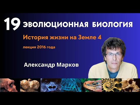 Видео: Геохронология