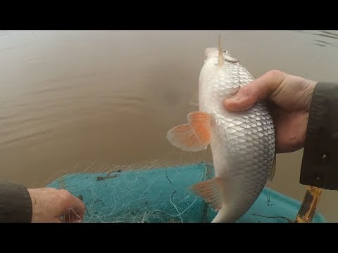 Видео: Рыбалка сетями ранней весной, вода прибывает