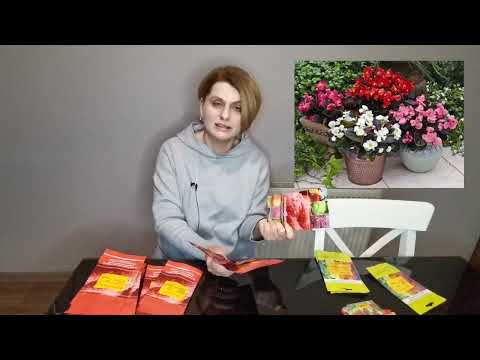 Видео: Что буду сеять из цветов в сезоне 2024