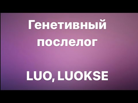 Видео: ПОСЛЕЛОГ LUOKSE В ФИНСКОМ ЯЗЫКЕ