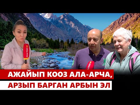 Видео: Ажайып кооз Ала-Арча, арзып барган арбын эл