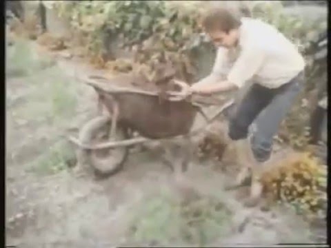 Видео: Жан Пейн "Сила компоста"