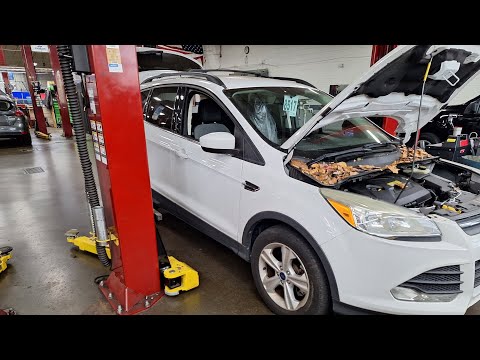 Видео: Замена камеры заднего вида Ford Escape | 2013–2019