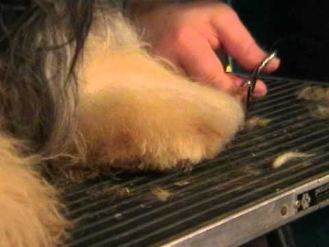 Видео: Вот оно счастье... БоБтЕйл!!!!!!!