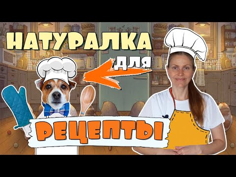 Видео: НАТУРАЛКА для собак/РЕЦЕПТЫ для собак на каждый день 🐶🍖🥗Homemade dog food recipes