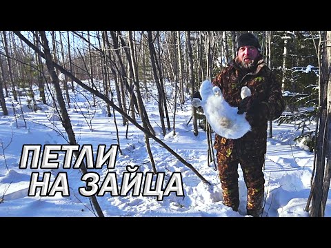 Видео: Охота петлями. Ловим зайца силками (2025)