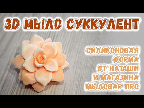 Видео: 3d мыло Суккулент 🌵 Мастер-классы по мыловарению для начинающих 🌵 Мыловарение для новичков