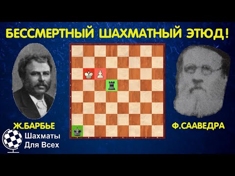 Видео: Шахматы. ЗНАМЕНИТЫЙ ЭТЮД Барбье и Сааведры!