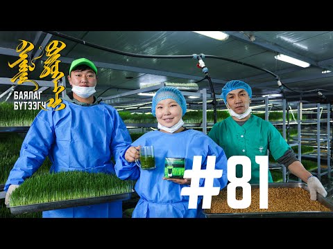 Видео: "БАЯЛАГ БҮТЭЭГЧ" Цуврал нэвтрүүлэг 81 I “ЭКО НОГООН УРГАМАЛ” ХХК