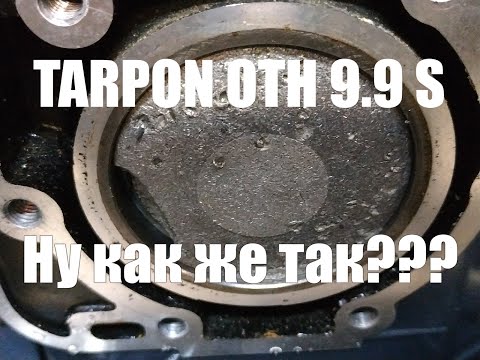 Видео: Ну что же ты, TARPON ! ! !