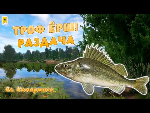 Видео: Русская рыбалка 4 - ТРОФЕЙНЫЙ ЁРШ! РАБОЧАЯ ТОЧКА РАЗДАЧА! НА Оз. Комариное!