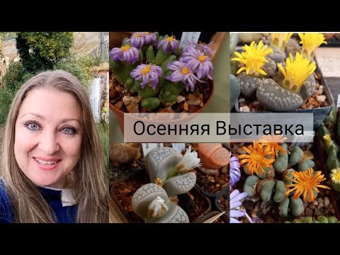 Видео: Урааа🌵Выставка Кактусов Греческого Клуба🇬🇷Осень 2022 #выставкацветов #Кактусы
