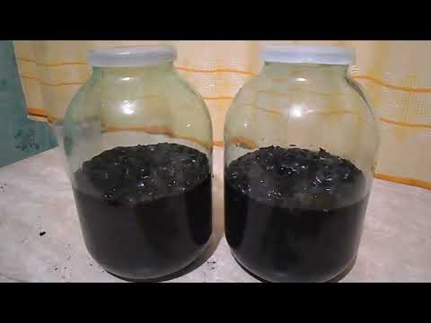 Видео: Пятое практическое занятие. Очистка самогона древесным (активированным) углём.