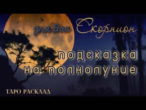 Видео: СКОРПИОН 🌟 для Вас🌚 ПОДСКАЗКА на ПОЛНОЛУНИЕ🌑