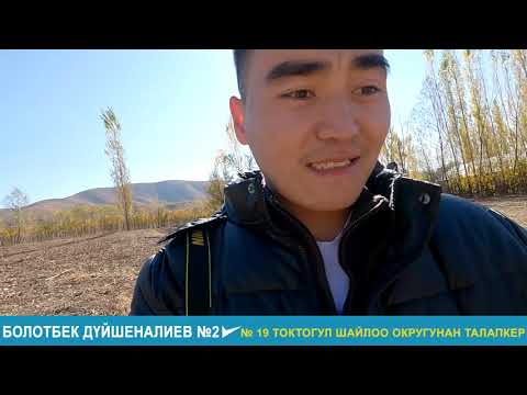 Видео: Жөө жүрүш менен БЕЛ АЛДЫ айыл өкмөтүн басып өттүк ТОЛУК ВЕРСИЯ