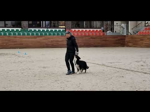 Видео: Дип вне зачета