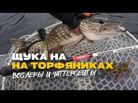 Видео: Щука на Спиннинг на Торфяниках Воблеры для Мелководья и Чаттербейты