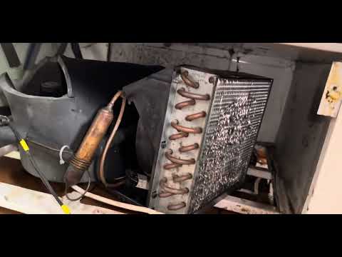 Видео: COLD S 70C шафа - висока температура #холодильнавітрина #холодильнашафа #регалінверторний