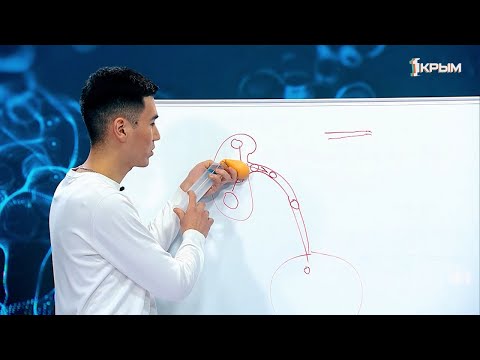 Видео: Где болит, когда болят почки? Мне только спросить. Новый сезон. Выпуск 1.