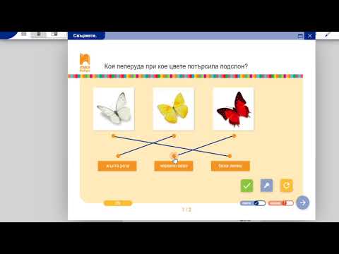 Видео: Трите пеперуди